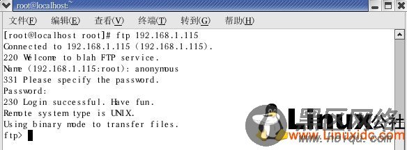 实战Linux下FTP服务器架设