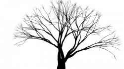 纯js实现画一棵树的示例