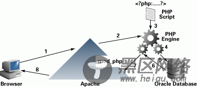 Oracle 10g、Apache 2.0、PHP 5的大整合