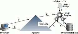 Oracle 10g、Apache 2.0、PHP 5的大整合