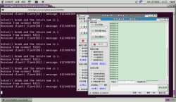 Linux网络编程：TCP服务器（单进程多用户），使用