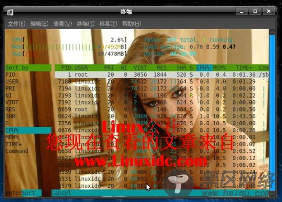 Htop：Ubuntu下功能全面的进程查看器[多图]