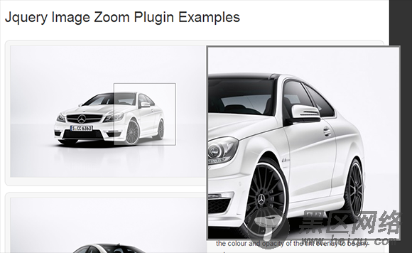 Image-Zoom-Plugin