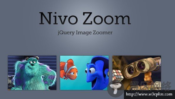 Nivo Zoom