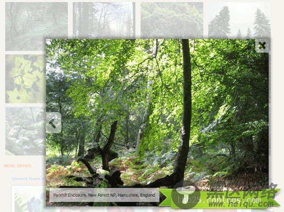 Chrome Style jQuery Image Gallery plugin