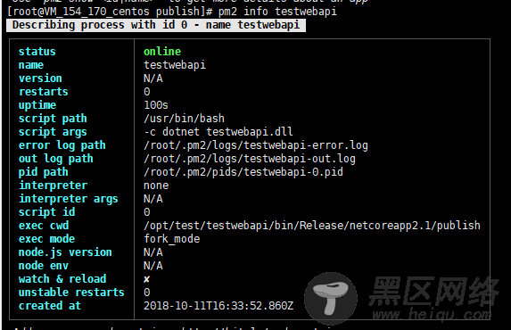 如何使用pm2守护你的.NET Core应用程序详解