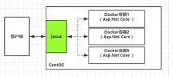 .Net Core和jexus配置HTTPS服务方法