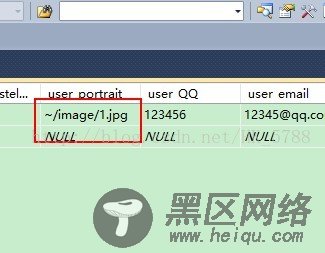 Asp.Net使用服务器控件Image/ImageButton显示本地图片