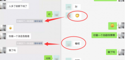 PC微信多开消息防撤回补丁「电脑软件」