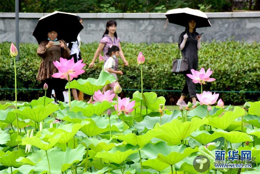 解密十四冬吉祥物：蒙古彩娃