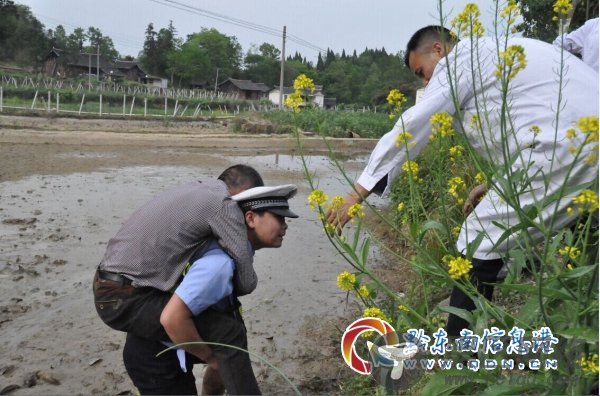 施秉：交通辅警艰苦奋斗敬业奉献守护行之顺心