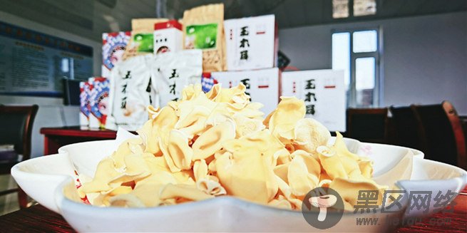 吉林镇赉：破解滞留难题玉木耳“火”起来了