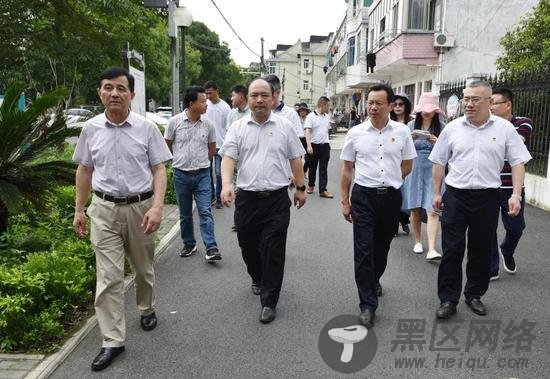 平湖市市长督查全国文明城市创建和爱国卫生运动工作