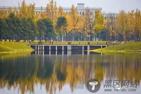 成都高新区1000多个免费创业工位来了!