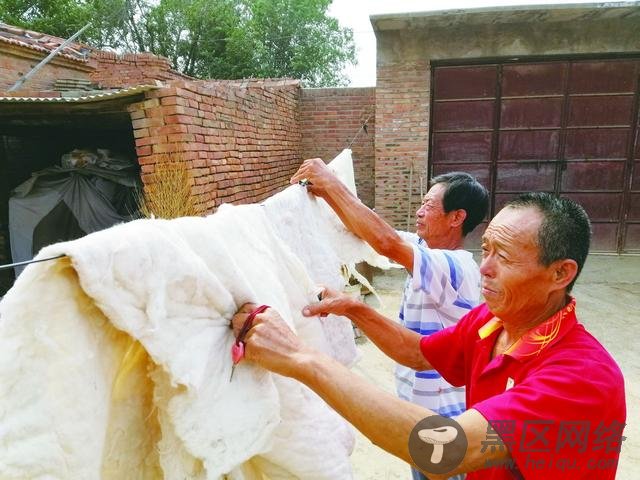 乐陵|扶贫专岗:同步破解脱贫与解困两大难题