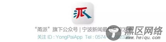 宁波城市大脑logo来了,甬派为你解密