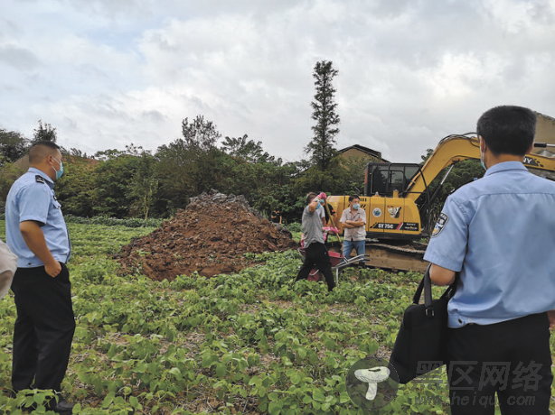 启东检察建议敦促解除“蛇患” 村民放心下地干