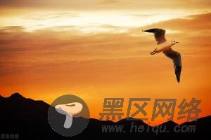 病态的爱国主义:韩国人为什么总觉得全世界都