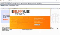 burpsuite2020破解版下载 Burp Suite Pro 2020渗透测试工