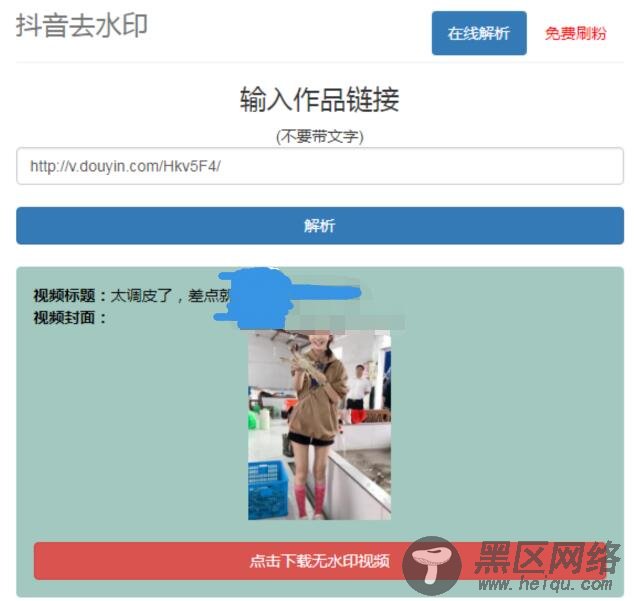 在线抖音去水印网PHP源码「网站源码」