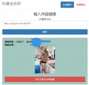 在线抖音去水印网PHP源码「网站源码」