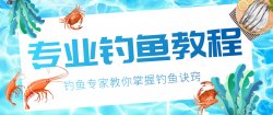 钓鱼视频技巧教程实战大全「实用教程」