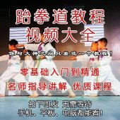 某宝高价买到的跆拳道视频教程「其他教程」