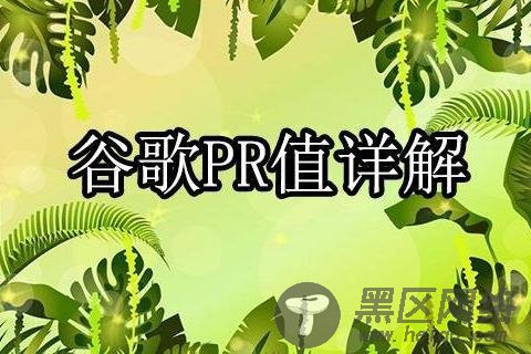  评定网页级别的PR值 