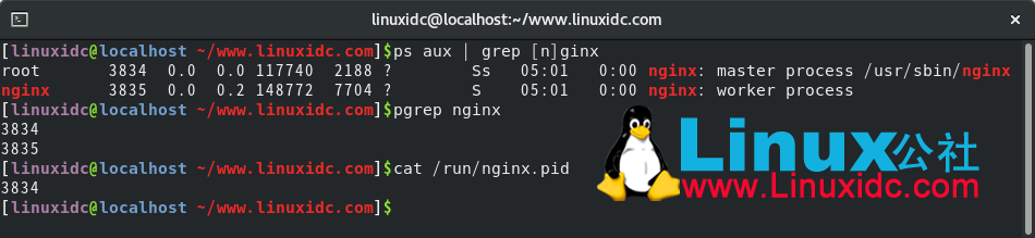 找到Nginx PID