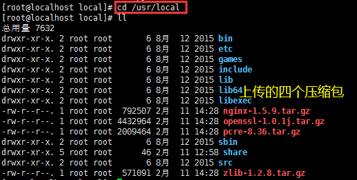 Linux安装Nginx详细法式