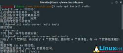 如安在Ubuntu 18.04上安装和设置Redis