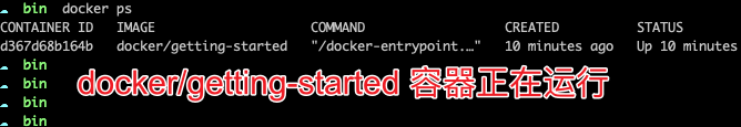 M1 和 Docker 谈了个恋爱 