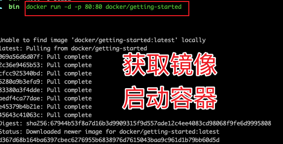 M1 和 Docker 谈了个恋爱 