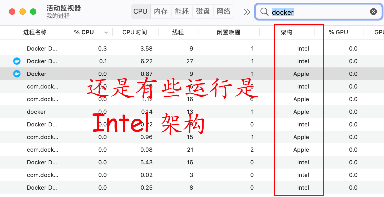 M1 和 Docker 谈了个恋爱 