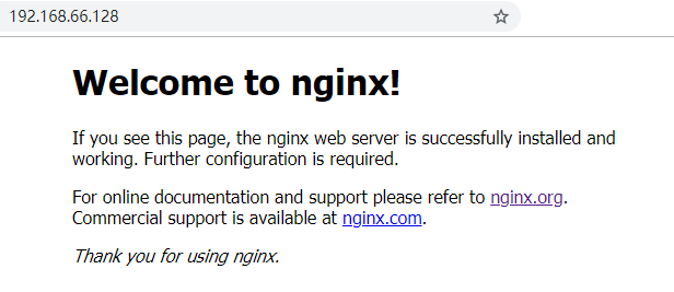 Nginx 极简入门教程！ 