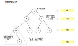 数据结构与算法：树 