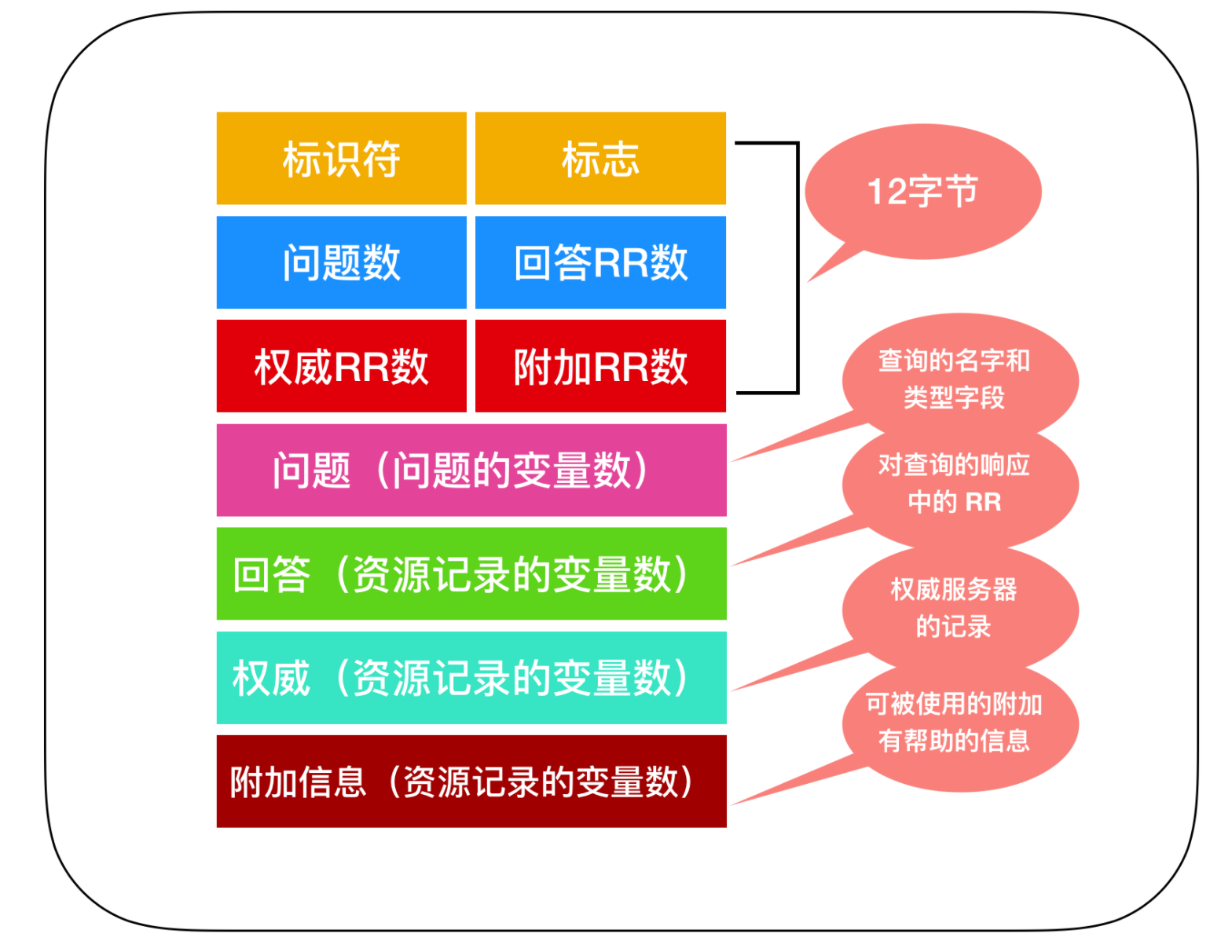 一不小心画了 24 张图剖析计网应用层协议！ 