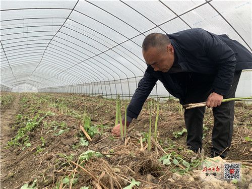 荆州纪南镇鲁��村返乡农民杨顺海：投资千万