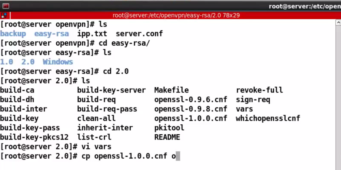 OpenVPN是不是适用全部电脑操作系统?