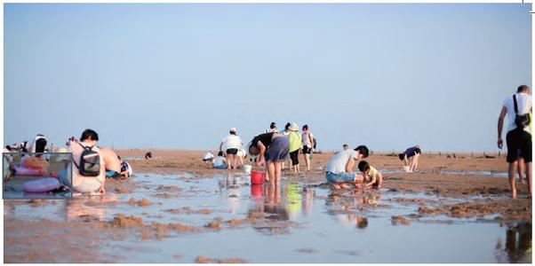 日照旅游赶海园教你怎么选，来日照看海吧