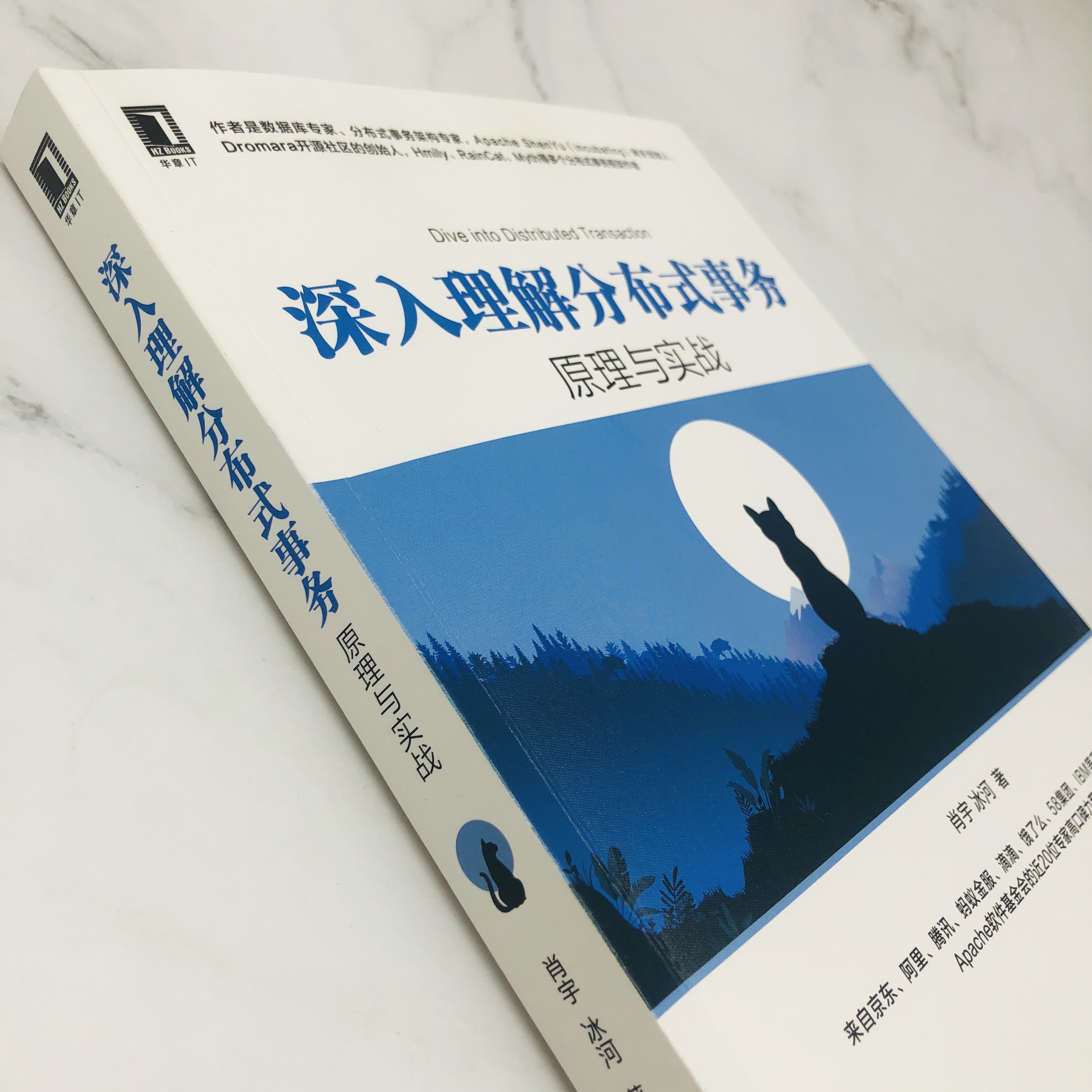 分布式事务开山之作——《深入理解分布式事务：原理与实战》草图曝光！！ 