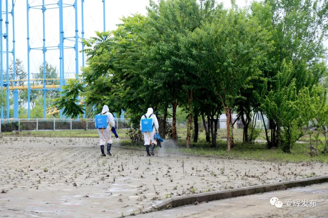 直击▷黑河市区这些地方『消杀工作进行时』！