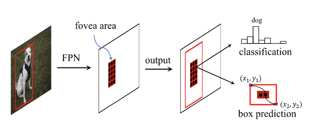 FoveaBox：细节差别，另一种DenseBox+FPN的Anchor-free方案 | IEEE TIP 2020 