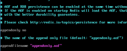 Redis 中的数据持久化策略（AOF） 