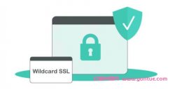 通配符SSL证书有免费的吗?通配符SSL证书申请方法