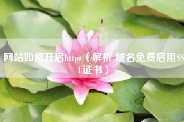 网站如何开启https（解析 域名免费启用SSL证书）