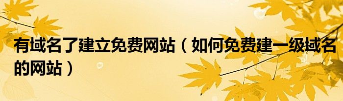 有域名了建立免费网站（如何免费建一级域名的网站）