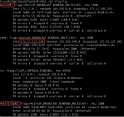 Docker单机网络下 