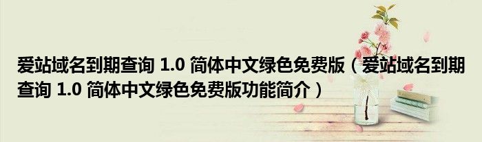 爱站域名到期查询 1.0 简体中文绿色免费版（爱站