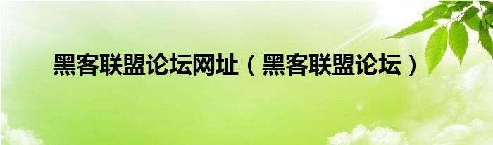 黑客联盟论坛网址（黑客联盟论坛）